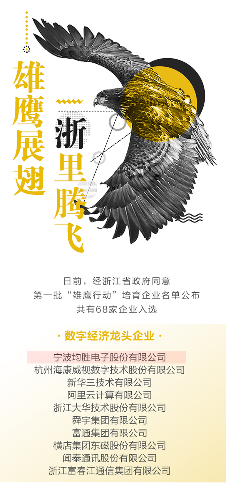 雄鹰展翅1 官网使用.jpg